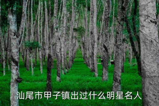 汕尾市甲子鎮(zhèn)出過什么明星名人