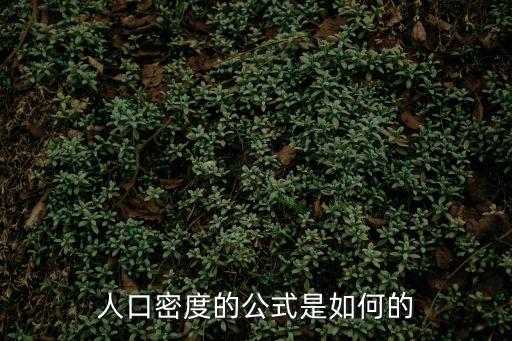 人口密度，人口密度怎么算