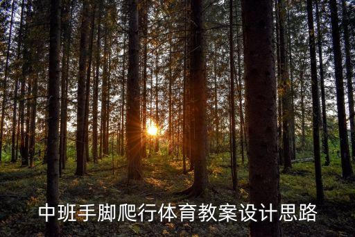 中班手腳爬行體育教案設計思路