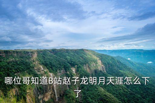 明月天涯歌曲，歌詞里有加如年少輕狂聽著是一個(gè)女生唱的希望能搜到那首歌