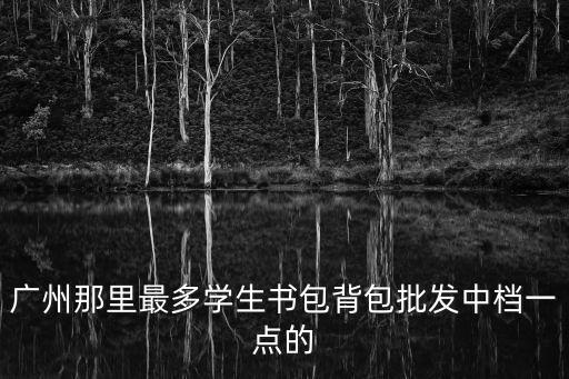 廣州學(xué)校寄宿制書包，廣州那里最多學(xué)生書包背包批發(fā)中檔一點(diǎn)的
