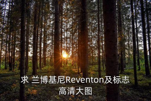 求 蘭博基尼Reventon及標志高清大圖