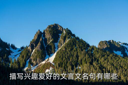 關于興趣的名言，誰有關于興趣的名言