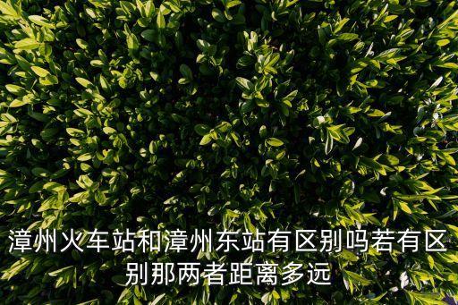 漳州東站，漳州東站現在停火車嗎