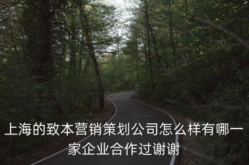 上海的致本營銷策劃公司怎么樣有哪一家企業合作過謝謝