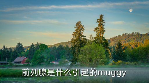 前列腺是什么引起的muggy
