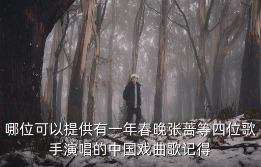 張薔演唱會，安徽衛視中秋晚會張薔唱的歌曲串燒都叫什么
