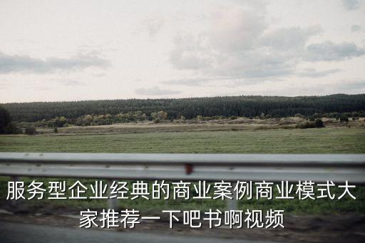 服務(wù)型企業(yè)經(jīng)典的商業(yè)案例商業(yè)模式大家推薦一下吧書(shū)啊視頻