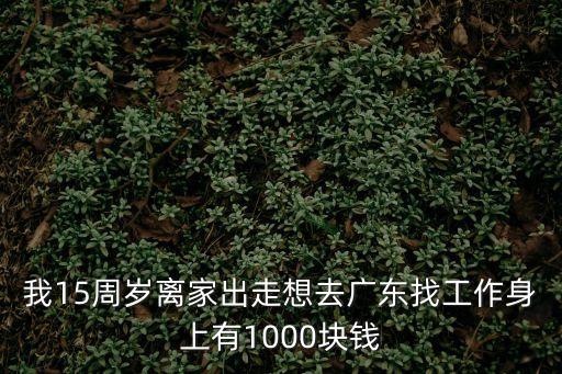 15歲男孩獨自離家到廣州，15歲男孩 離家出走了 該怎么辦