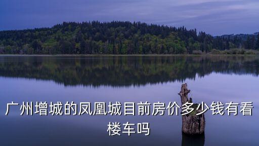廣州增城的鳳凰城目前房價多少錢有看樓車嗎