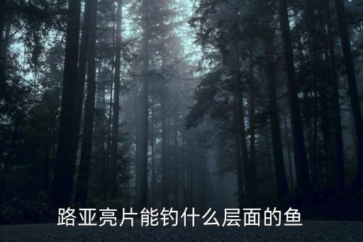 路亞亮片釣什么魚，路亞亮片能釣甚么魚