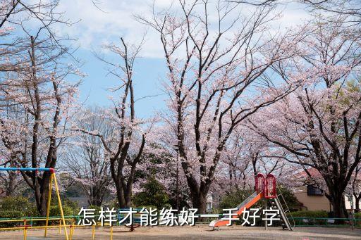 怎么才能寫好字，怎樣才能寫好字呢