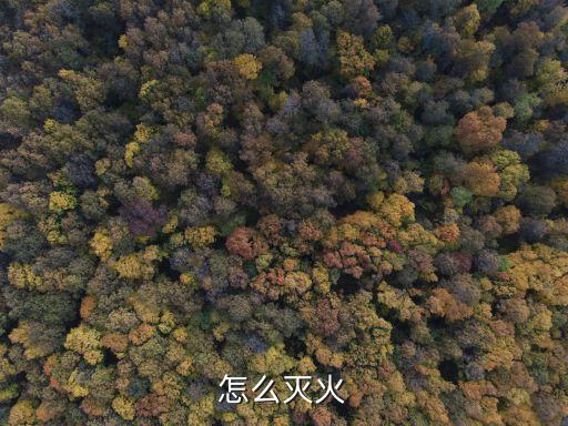 怎么滅火