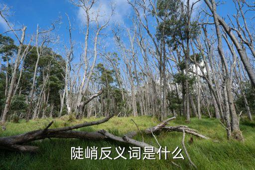 陡峭的反義詞，陡峭的反義詞是什么