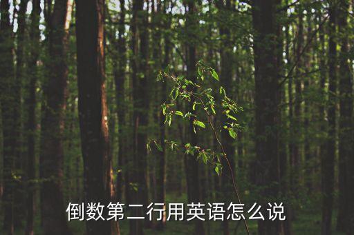 倒數(shù)英文，倒數(shù)第二行用英語(yǔ)怎么說(shuō)