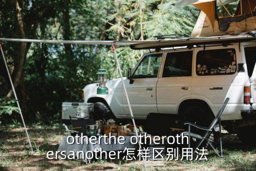 otherthe otherothersanother怎樣區別用法