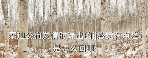 公狗的生殖器，急急急公狗狗性器官從內部出來 如何人工幫忙弄回去 因為他