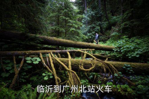 從臨沂到廣州坐高鐵幾個(gè)小時(shí)能到，誰知道 從山東臨沂到 廣州 最快 多長 時(shí)間