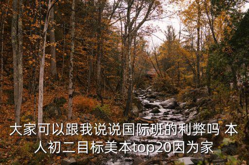 大家可以跟我說說國際班的利弊嗎 本人初二目標美本top20因為家