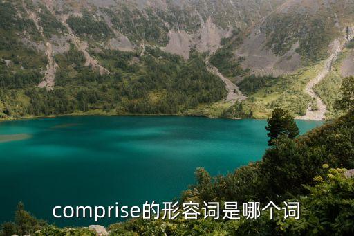 comprise的形容詞是哪個詞