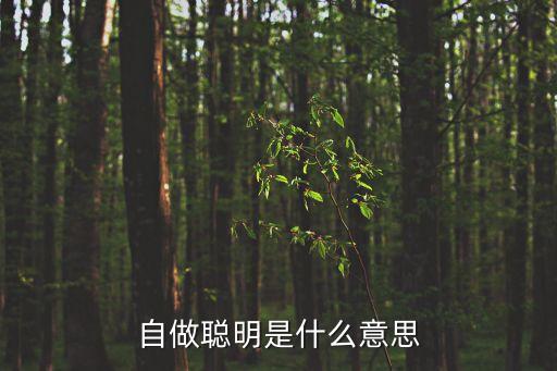 自做聰明是什么意思