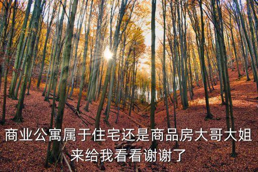 商業公寓屬于住宅還是商品房大哥大姐來給我看看謝謝了