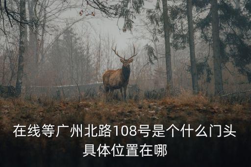 在線等廣州北路108號是個什么門頭具體位置在哪
