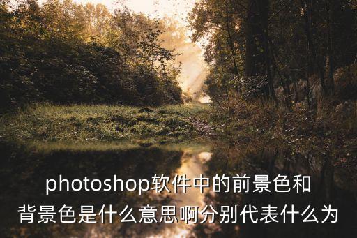 photoshop軟件中的前景色和背景色是什么意思啊分別代表什么為