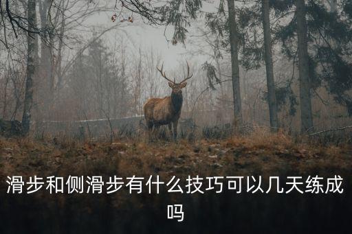 滑步和側滑步有什么技巧可以幾天練成嗎