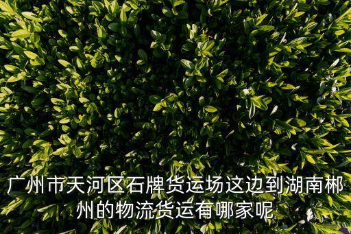 廣州市天河區石牌貨運場這邊到湖南郴州的物流貨運有哪家呢