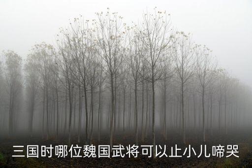 三國時哪位魏國武將可以止小兒啼哭