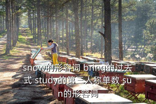 snow的過(guò)去式，snow 和rain的過(guò)去式