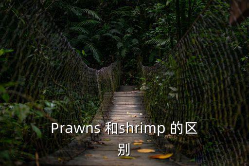 Prawns 和shrimp 的區(qū)別