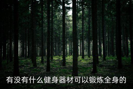 有沒有什么健身器材可以鍛煉全身的