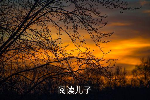 兒子，兒子是什么意思