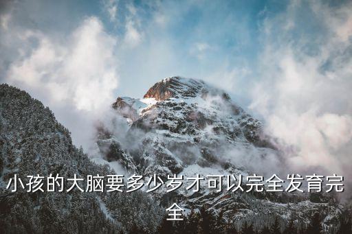 兒童大腦發育，小孩的大腦要多少歲才可以完全發育完全
