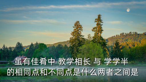 雖有佳肴中 教學相長 與 學學半 的相同點和不同點是什么兩者之間是