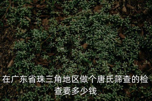 在廣東省珠三角地區(qū)做個(gè)唐氏篩查的檢查要多少錢