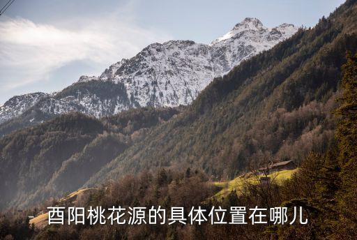 酉陽桃花源景區，酉陽桃花源的具體位置在哪兒