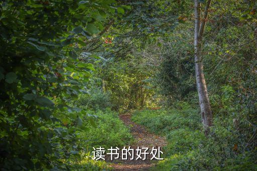 讀書的好處作文，讀書的好處
