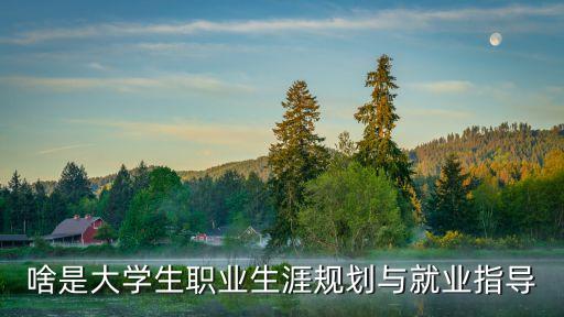 啥是大學生職業生涯規劃與就業指導