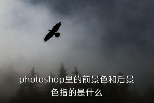 photoshop里的前景色和后景色指的是什么