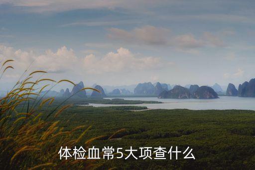 體檢血常5大項(xiàng)查什么