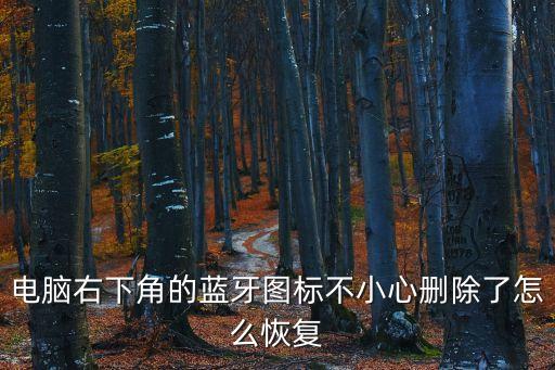 電腦右下角的藍牙圖標不小心刪除了怎么恢復