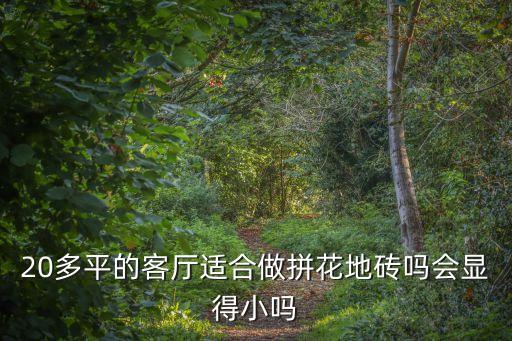 20多平的客廳適合做拼花地磚嗎會顯得小嗎
