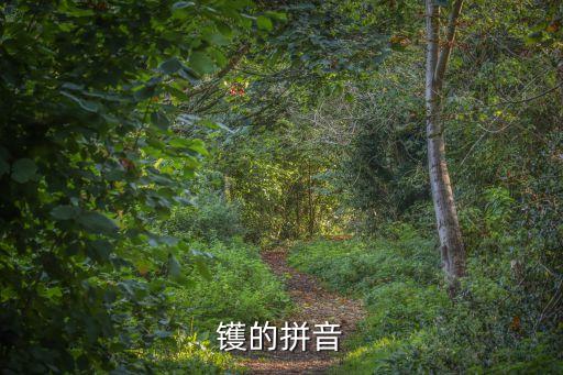 鑊的拼音