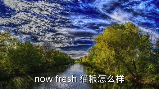 now fresh 貓糧怎么樣