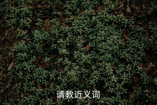 請教的近義詞，請教近義詞