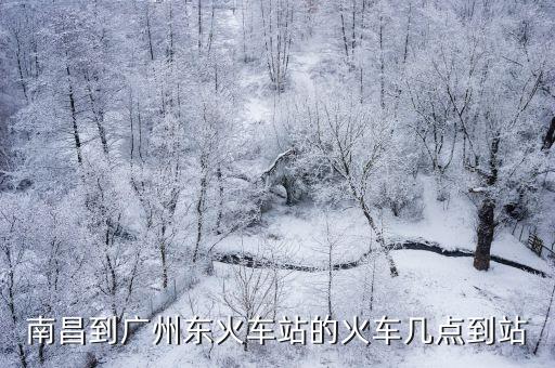 南昌到廣州東火車站的火車幾點到站