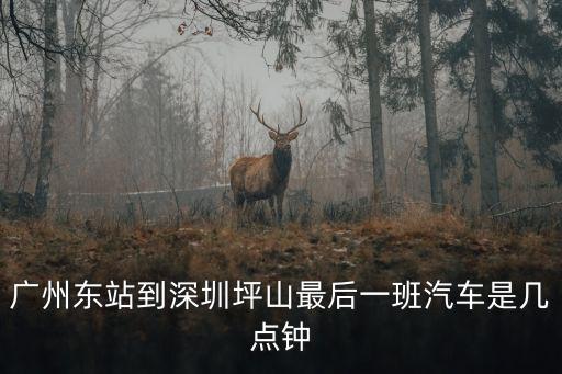 廣州東站到深圳坪山最后一班汽車是幾點鐘